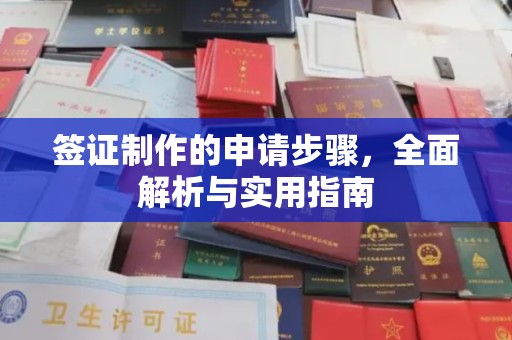颍东签证制作的申请步骤，全面解析与实用指南