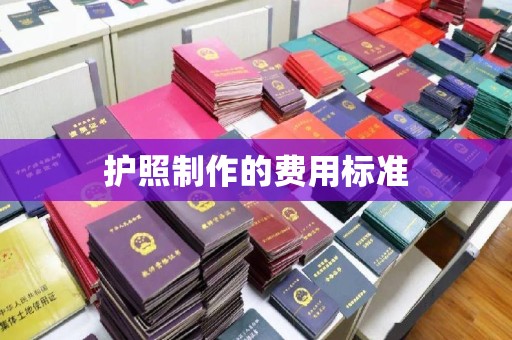 颍东护照制作的费用标准