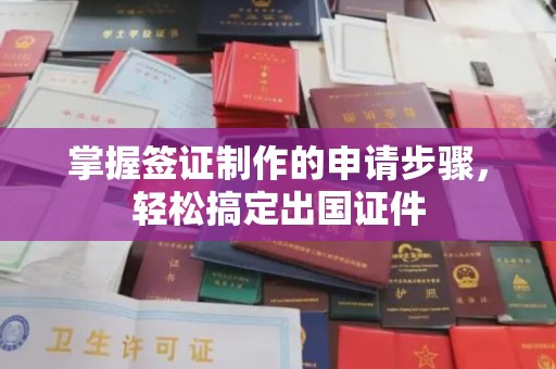 颍东掌握签证制作的申请步骤，轻松搞定出国证件