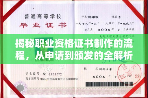 颍东揭秘职业资格证书制作的流程，从申请到颁发的全解析